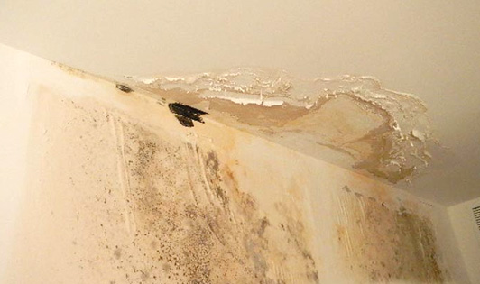 Problèmes d'humidité dans un logement - Crédit image : batinov-renovation.com